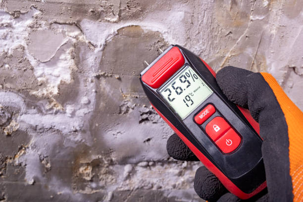 Best Affordable Mold Removal  in Manhattan, KS