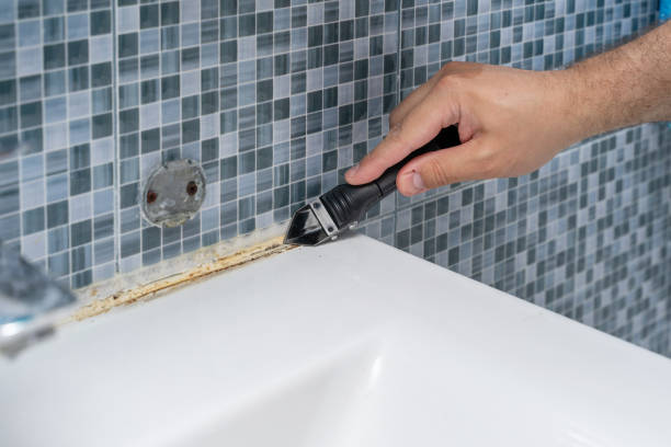 Reliable Manhattan, KS Mold Removal Solutions
