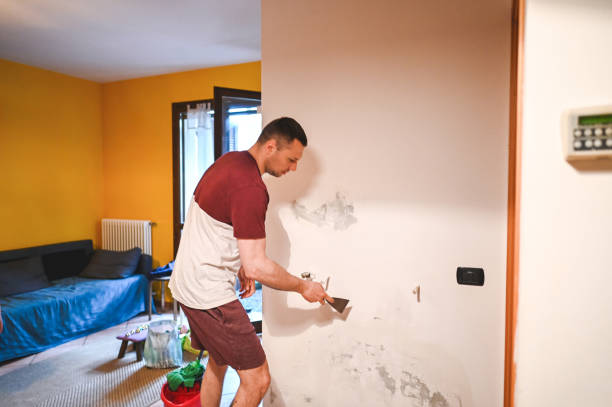 Best Commercial Mold Removal  in Manhattan, KS
